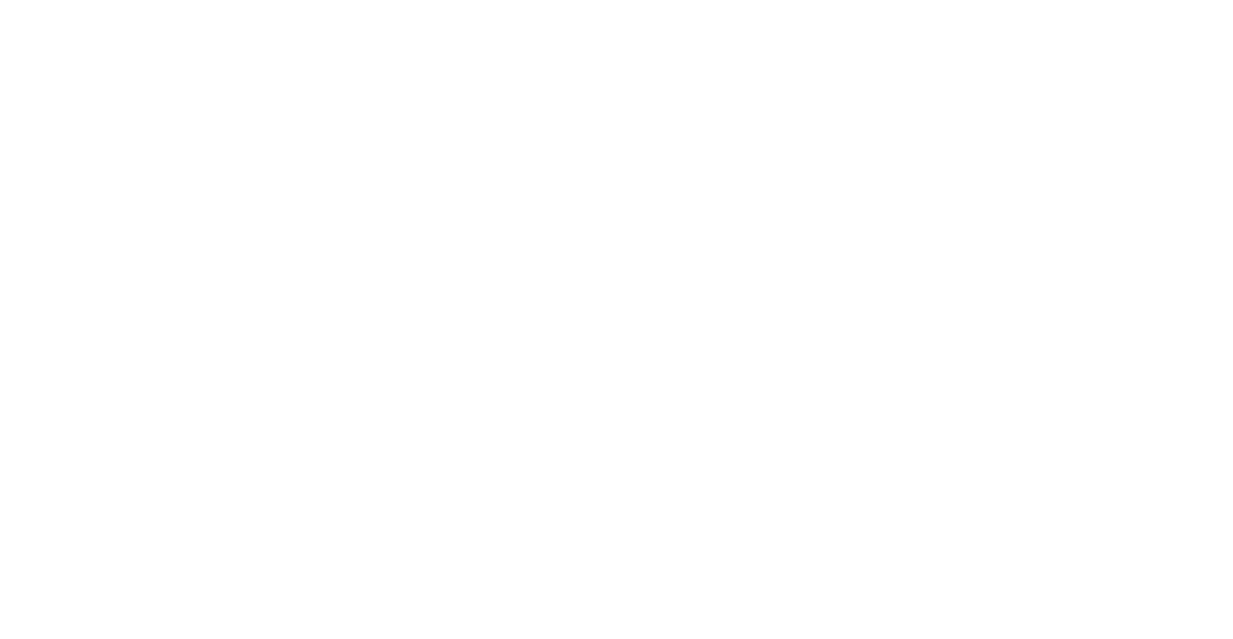 blicfoto_logo_transparent